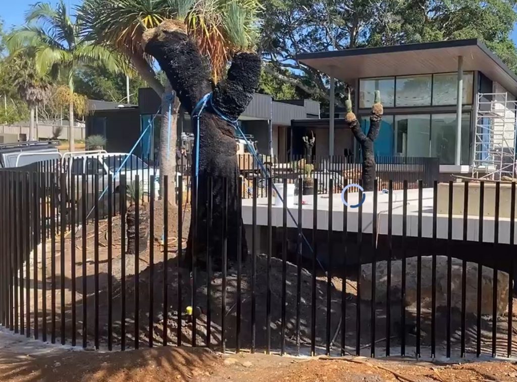 Aluminium Pool Fencing Specialty